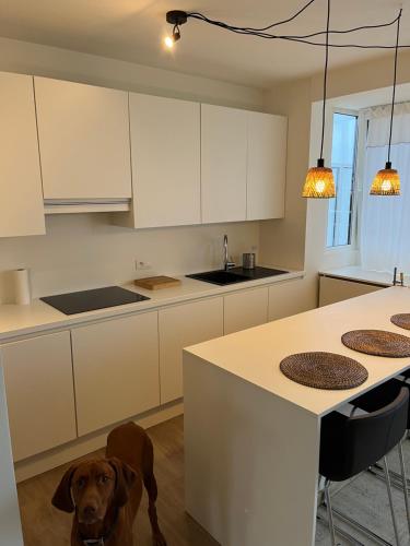 Penthouse Mathilde, Ostende (fotografie 2)