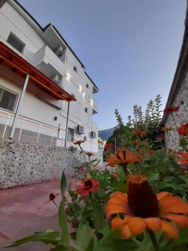 Hotel Apostoli - image 7