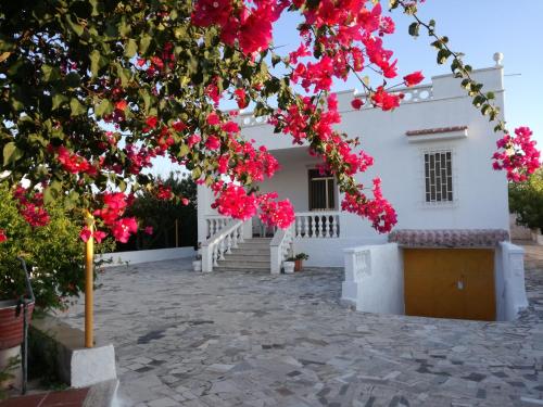 Villa Leo, Ostuni (Foto 8)
