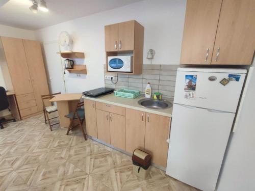 Casa Rezidentiala Pasteur