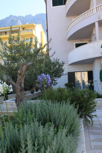 Apartments with a parking space Makarska - 3751 - image 5