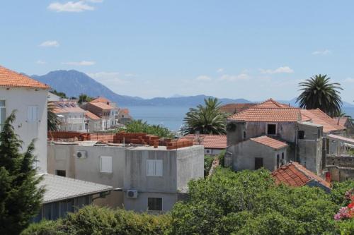 Apartments by the sea Sucuraj Hvar - 3589 - image 6