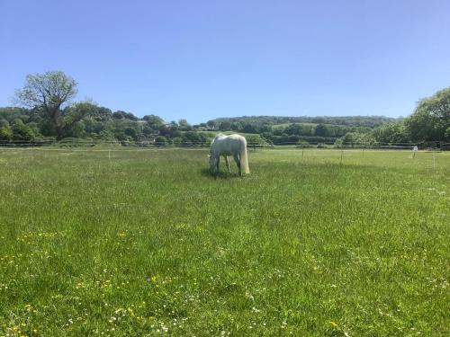 Stable Cottage - image 12