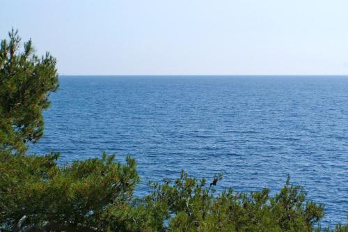 Apartments by the sea Bilo Primosten - 4176 - image 11