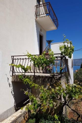 Apartments and rooms by the sea Arbanija, Ciovo - 1125