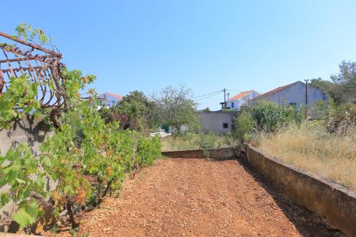 Apartments and rooms by the sea Arbanija, Ciovo - 1125