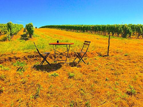 FABULEUX - Domaine du Moulin D'Andraut Bordeaux-Chevaux-Golf-St Emilion