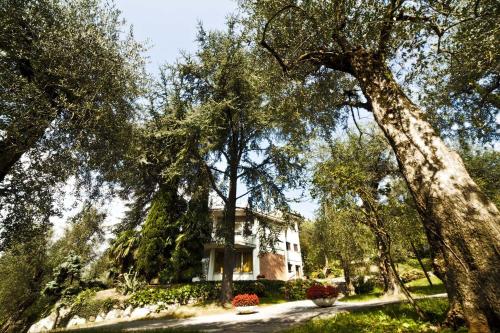 Hotel Villa Orizzonte - image 6