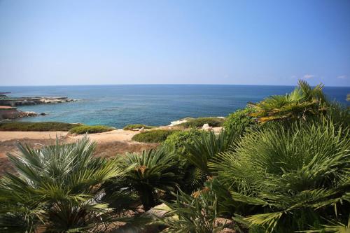 Seafront 5 Bedroom Villa Paradise in Sea Caves, Pegeia (fotografie 6)