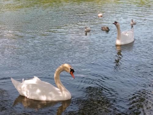 Aalens schönste Aussicht Aalens schönste Aussicht