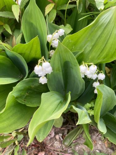 Aalens schönste Aussicht Aalens schönste Aussicht