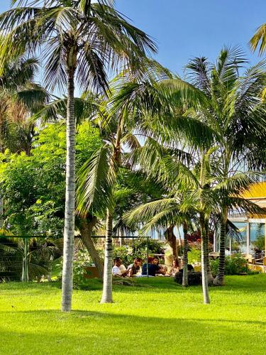 Garten, Hotel Tigaiga in Teneriffa