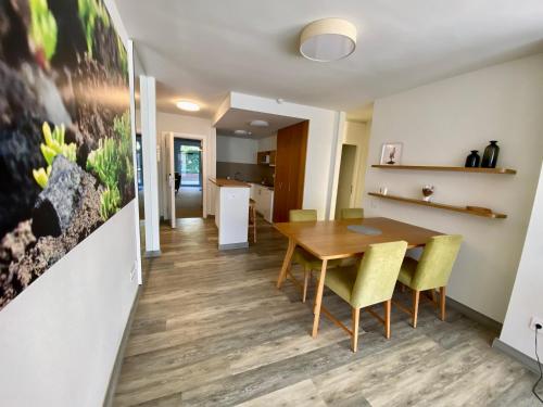 One-Bedroom Apartment image 9
