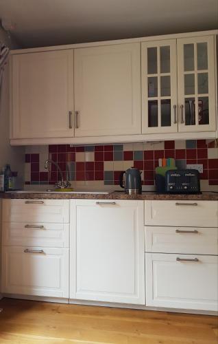 FOREST VIEW Woodland lodge in Wicklow