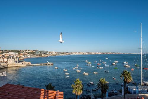 Cascais Bay Terrace ii