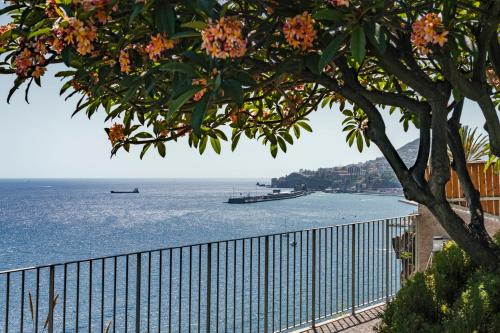 Lazareto Mar by An Island Apart, Funchal