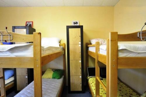 YourHostel Club - image 4