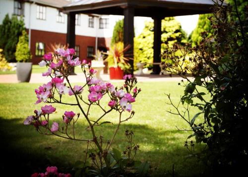 Beaufort Park Hotel - image 11