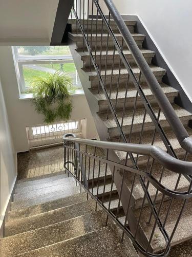 S&A apartamentai in Panevezys