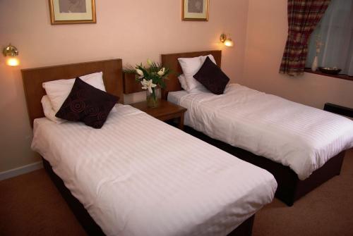 Twin Room image 8