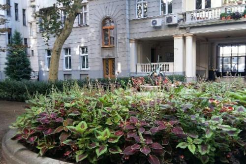 Gorgeous flat right near the City Center - image 3