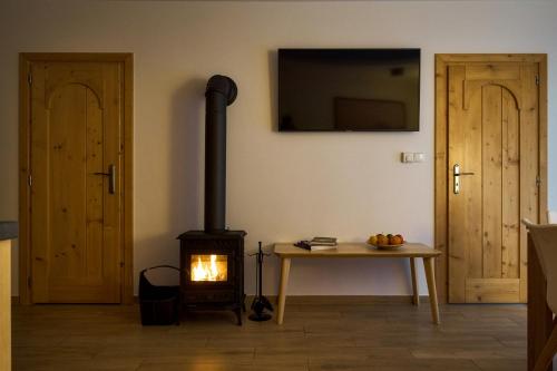 Apartment with Balcony, Fireplace and Mountain View image 6
