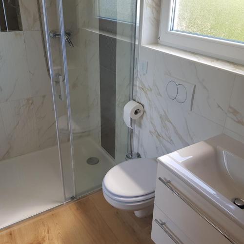 Baño, Trg Mozirje in Mozirje