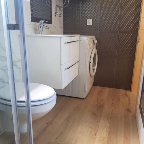 Baño, Trg Mozirje in Mozirje