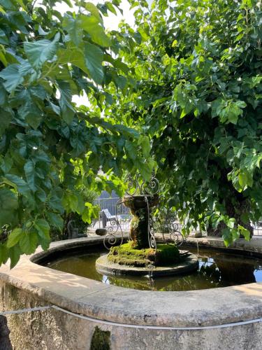 La Fontaine aux Poissons Rouges