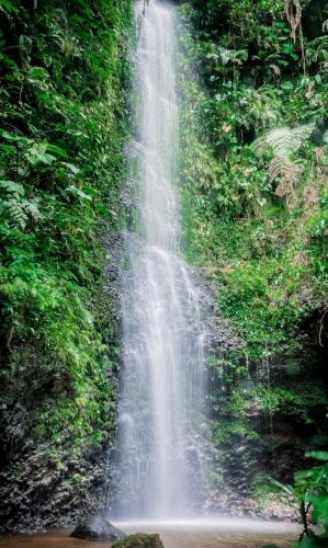 Hosteria Orkidea Lodge