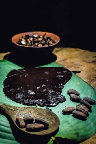 Hosteria Orkidea Lodge