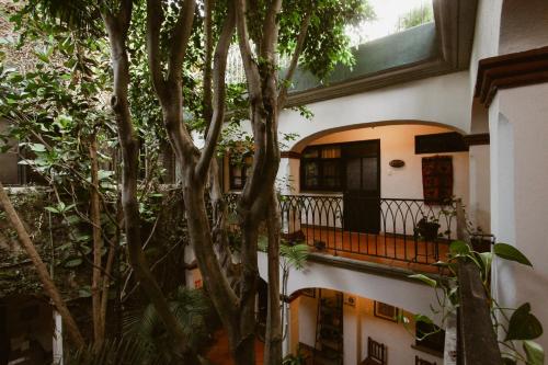 Hotel Casa Guivá, Oaxaca City