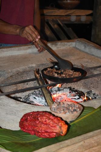 Hosteria Orkidea Lodge