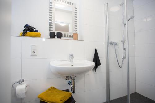Shower, NaturTraum-Aktivurlaub mit Hund direkt an Wanderwegen und im Grunen in Neuastenberg