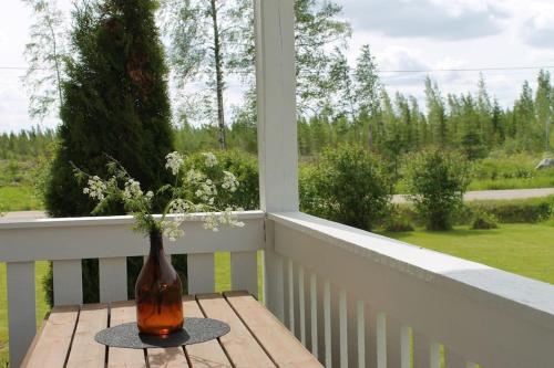 Albertiina in 庫里卡