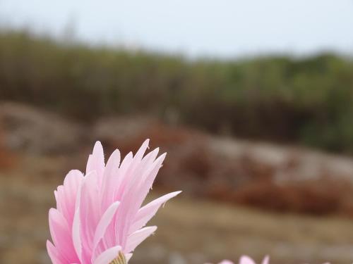 SUDWEST ROOMS by Stay in Alentejo