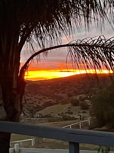 Yurt Escape with Amazing Country Views in Temecula, USA
