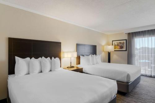 2 queen beds