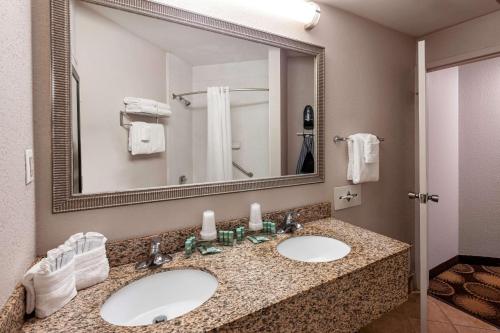 One-Bedroom Suite with Two Double Beds and Ocean View - Non-Smoking image 5