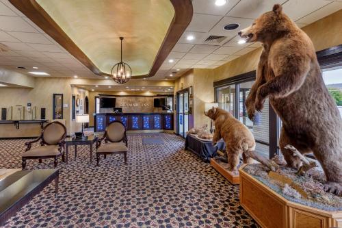 Best Western Dunmar Inn - image 14