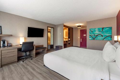 King Room image 5