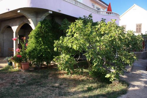 Apartments by the sea Sucuraj, Hvar - 5680 in 蘇秋拉