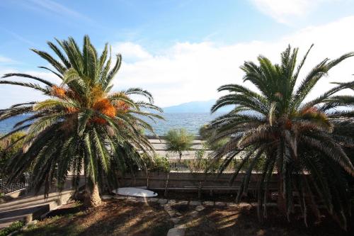 景觀, Apartments by the sea Sucuraj, Hvar - 5680 in 蘇秋拉