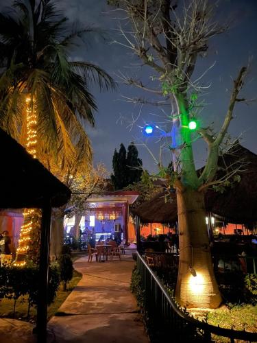 Bar/Lounge, Le Baobab in Bamako