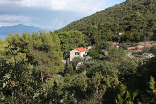 Seaside secluded apartments Cove Zavala - Gdinj, Hvar - 5717