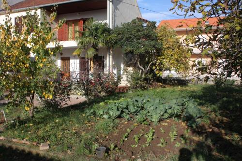Apartment Biograd na Moru 5899d - image 8