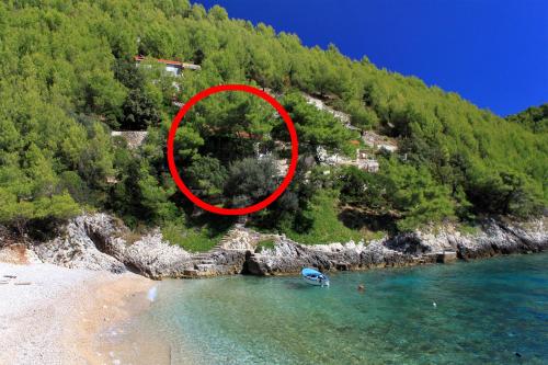  Seaside secluded apartments Cove Bratinja Luka, Korcula - 4434 in Žrnovo