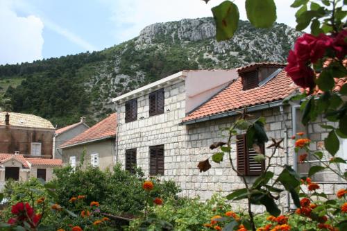 Apartments by the sea Trstenik, Peljesac - 4567 - Trstenik