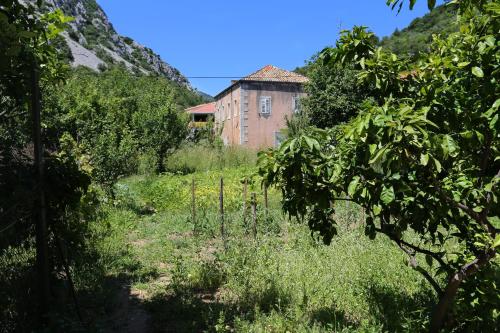 Apartments by the sea Trstenik Peljesac - 4567 - image 5