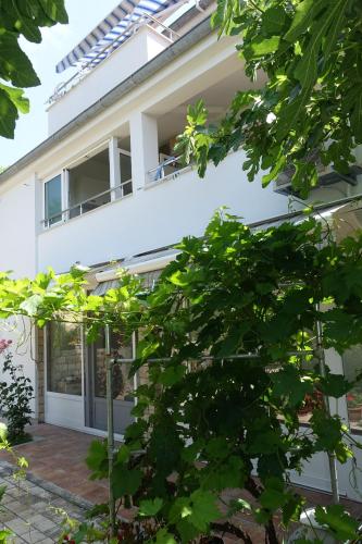  Apartments and rooms with parking space Nin, Zadar - 5805 in Nin
